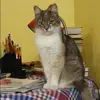 Отзыв от Елена Кононова